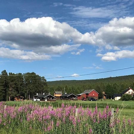 Roste Hyttetun Og Camping Os (Hedmark) Esterno foto