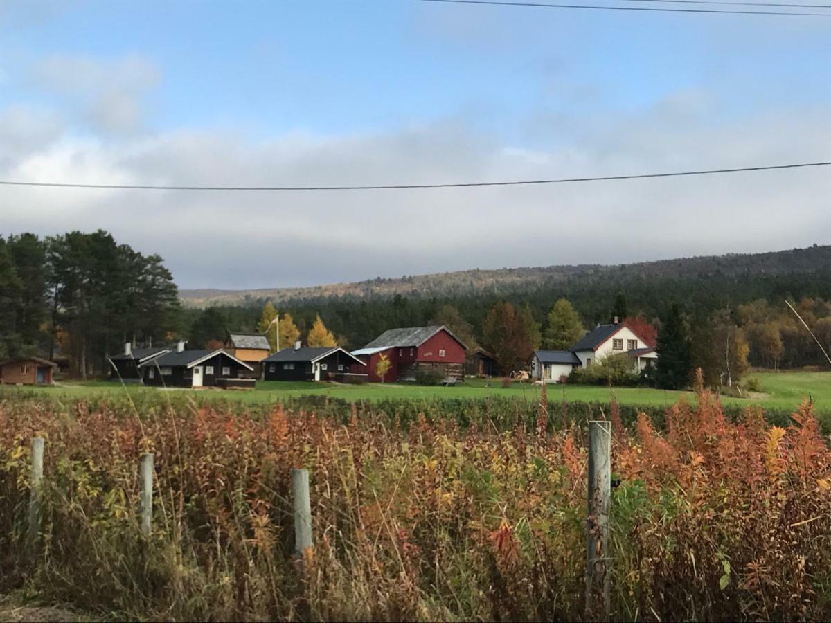 Hotel Roste Hyttetun Og Camping Os (Hedmark) Esterno foto