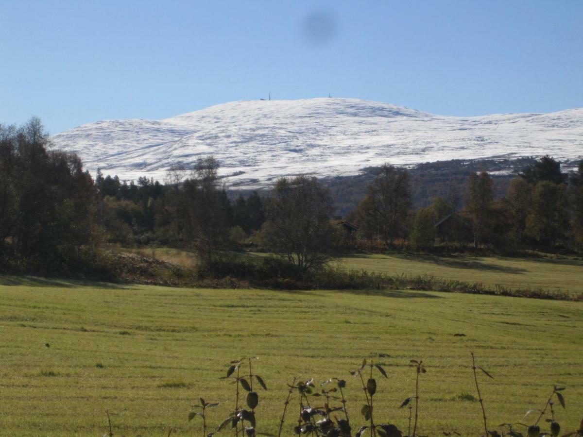 Roste Hyttetun Og Camping Os (Hedmark) Esterno foto