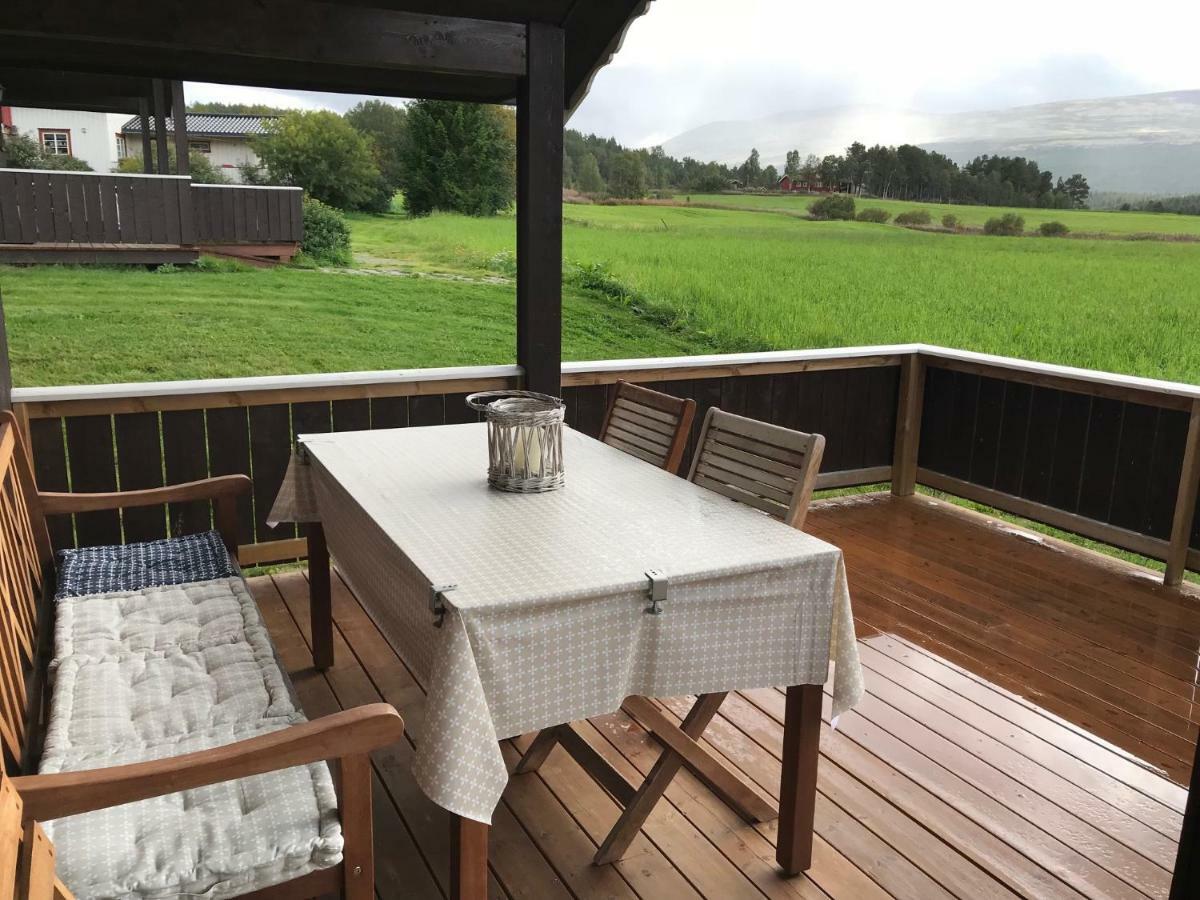 Roste Hyttetun Og Camping Os (Hedmark) Esterno foto