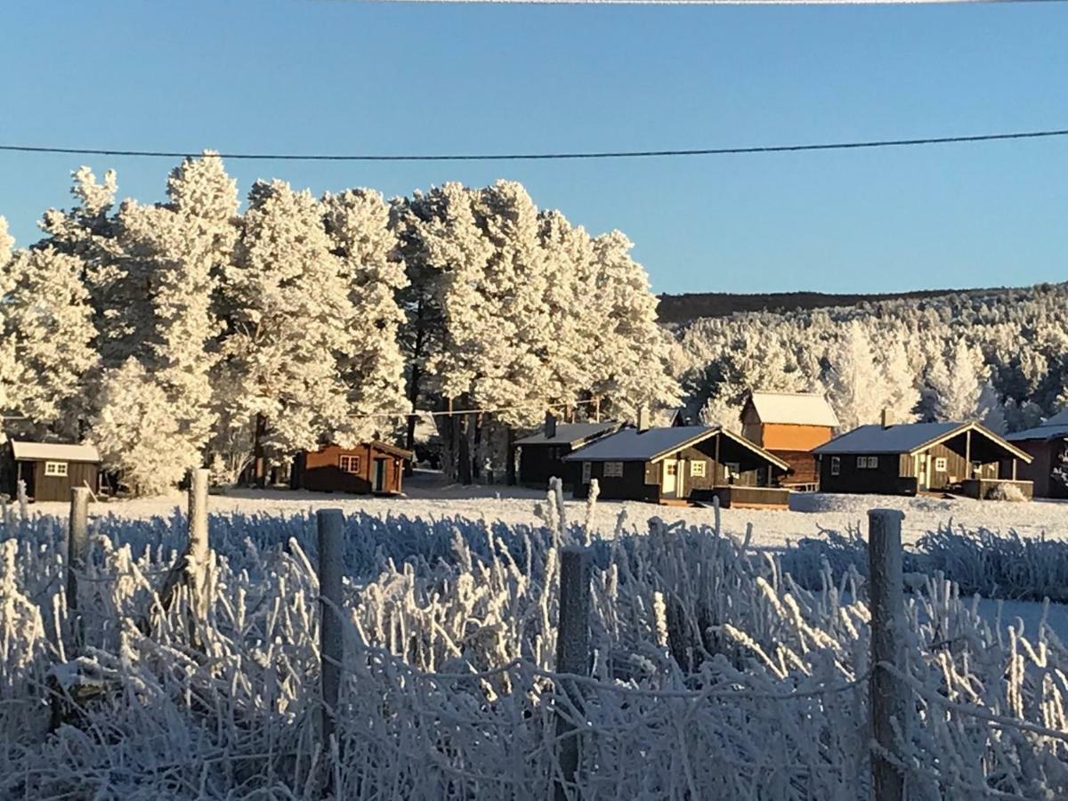 Hotel Roste Hyttetun Og Camping Os (Hedmark) Esterno foto