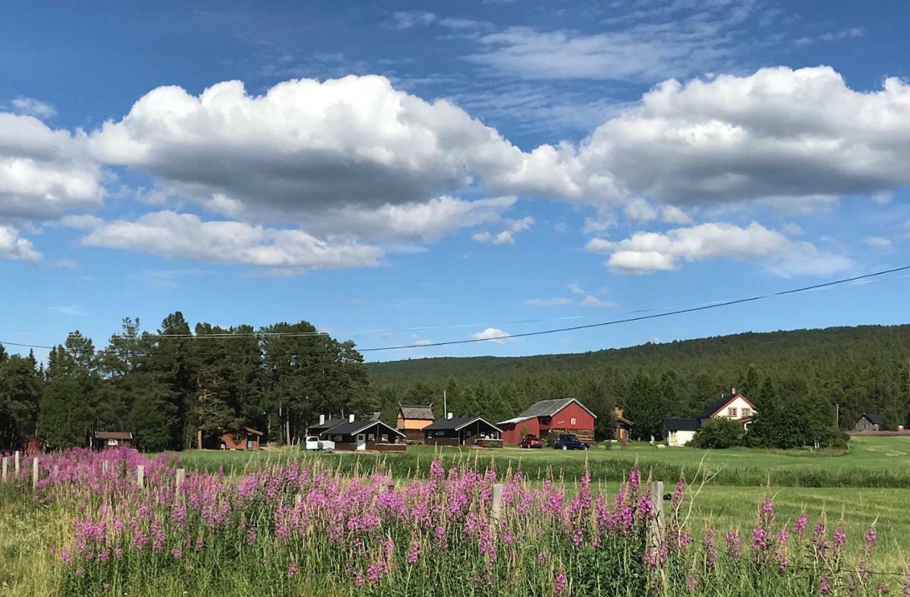 Hotel Roste Hyttetun Og Camping Os (Hedmark) Esterno foto